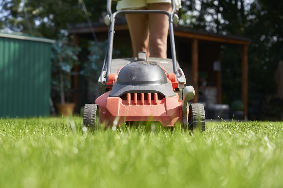 Eco‑Friendly Landscaping in Knoxville: Water‑Wise Yard Upgrades with Artificial Grass